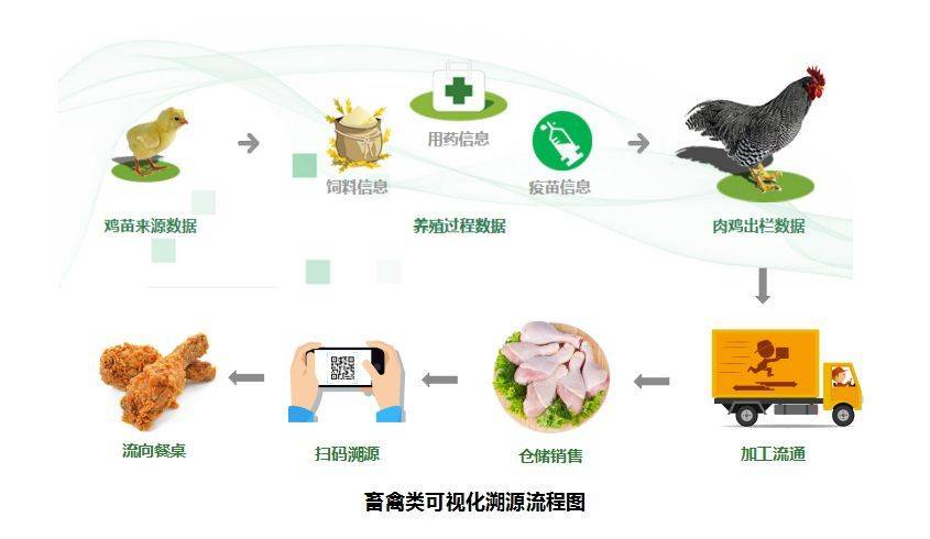 科技革新引领未来，智能鸡瘟监测神器亮相，最新鸡瘟新闻聚焦关注！