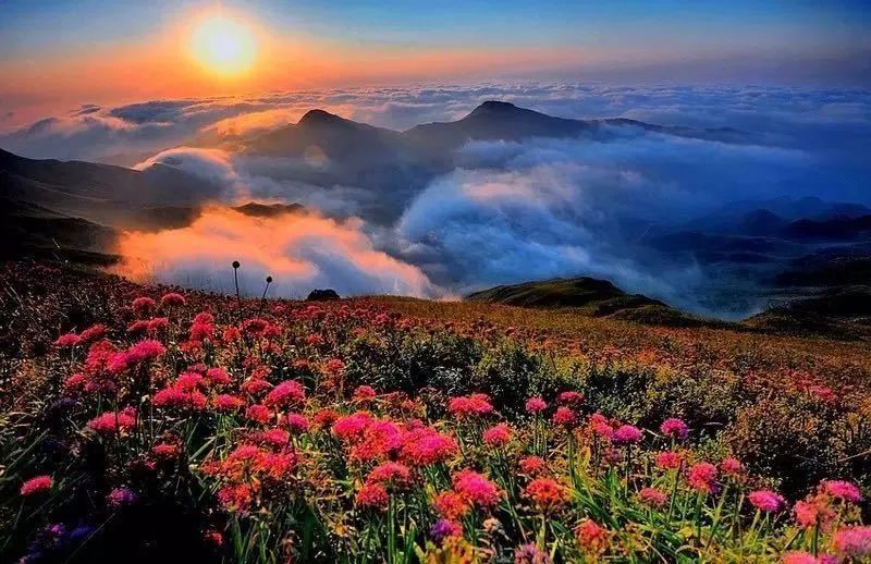 叶凡唐若雪的自然之旅最新更新，探索美景，寻觅内心宁静之旅