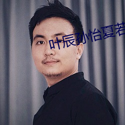 叶辰夏若雪孙怡最新章节深度解析与观点阐述