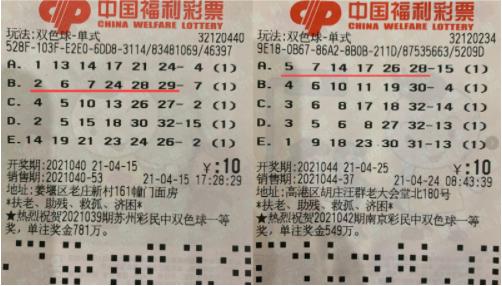 双色球最新预测，温馨有趣的日常故事开启好运之门