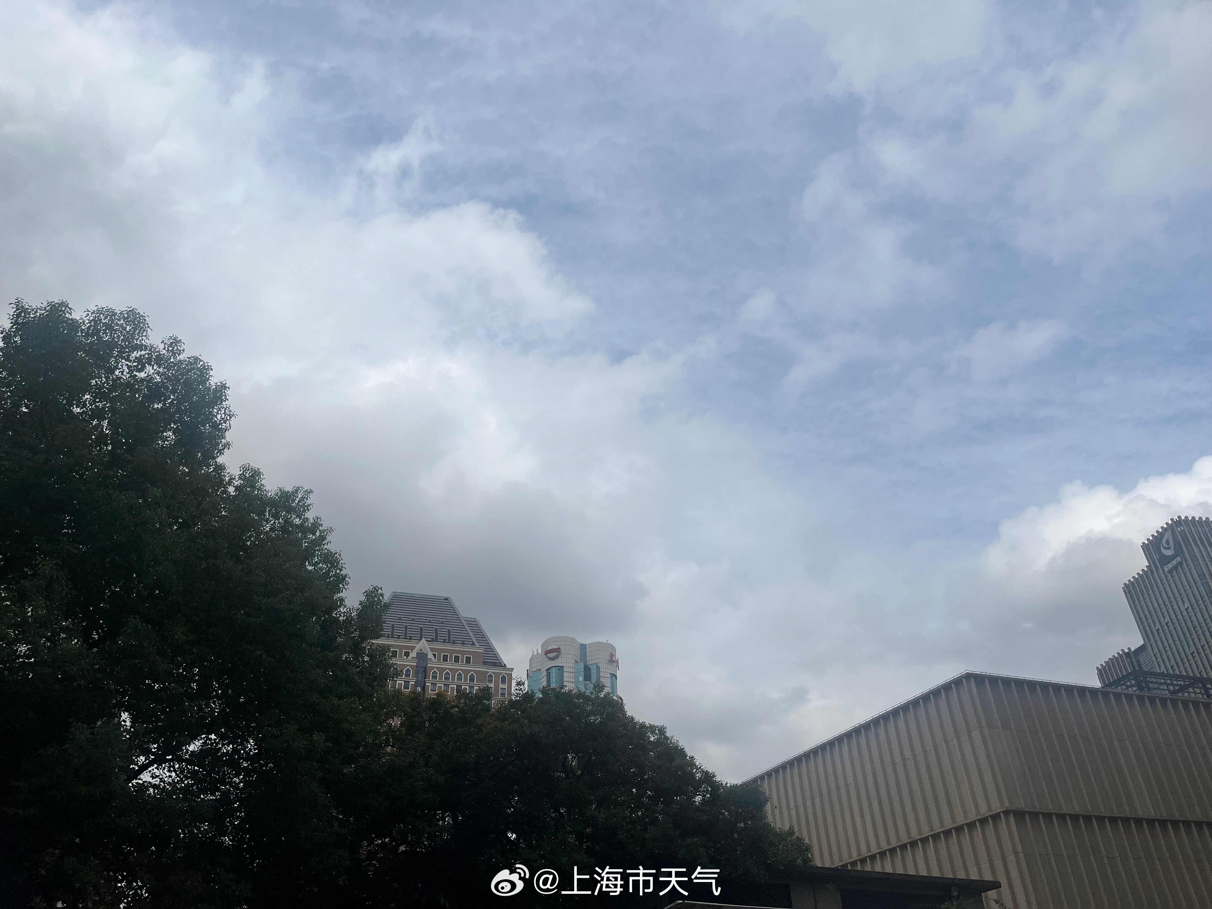上海最新天气预报，绿色之旅寻找内心平静之旅