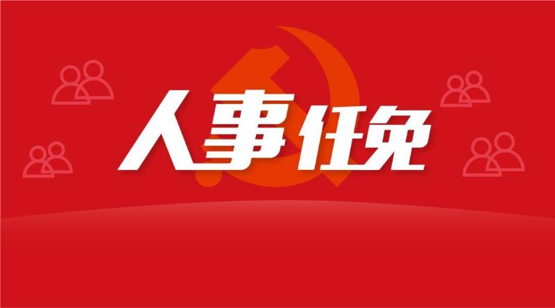 深度解析与观点阐述 第5页