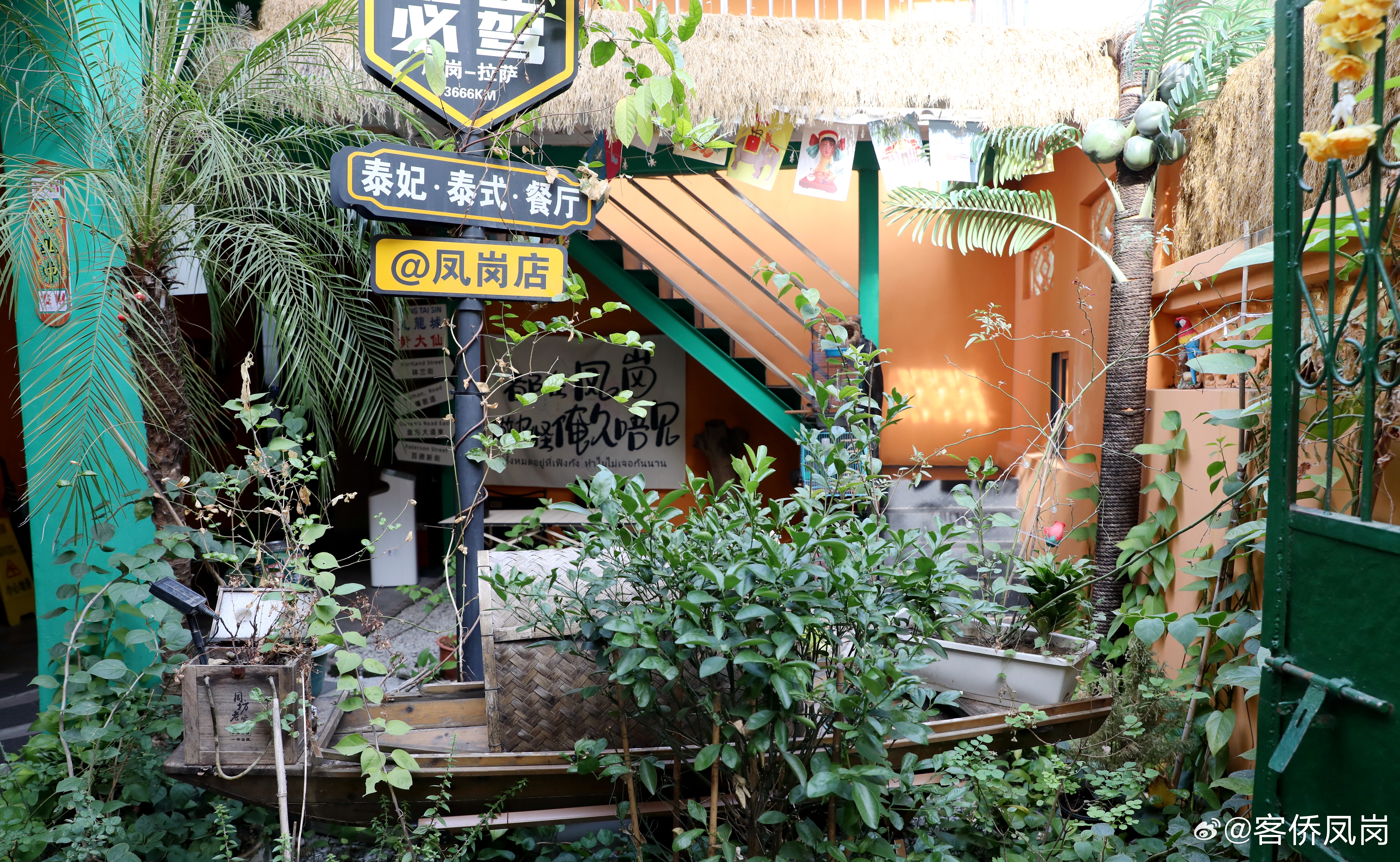 手机360助手最新版探索，小巷深处的特色小店揭秘