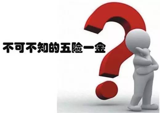延退最新消息,延退最新消息的温馨日常