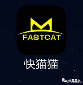 关于快猫最新网址的探讨与解析