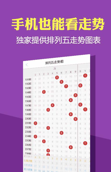 4949免费正版资料大全,高效执行方案_YOS35.128并行版