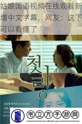 聚焦要点解析，最新中文字幕视频详解