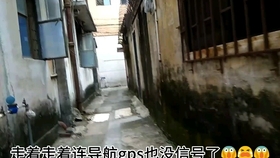 姚三马最新视频，探索小巷美食宝藏的神秘之旅