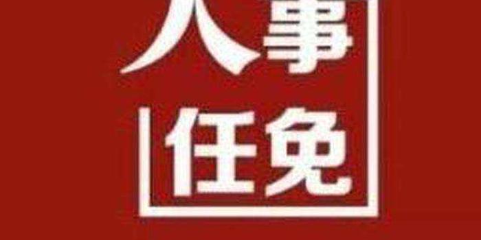湖北最新人事任免公告与小巷深处的独特风味揭秘