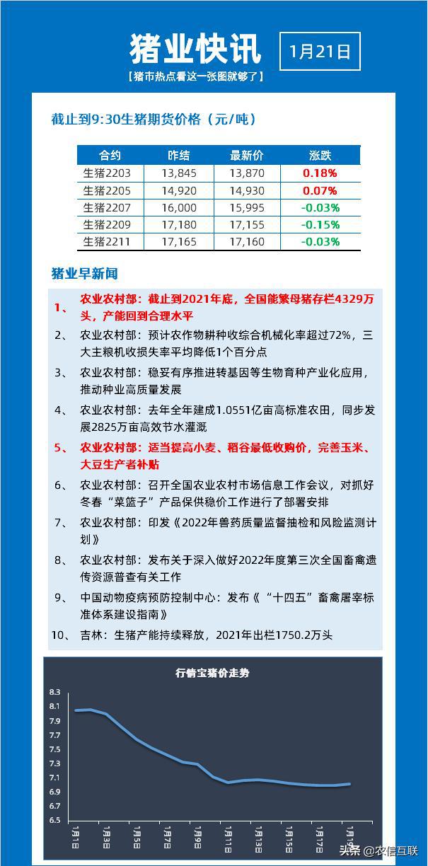 最新玉米收购价格动态及分析概览