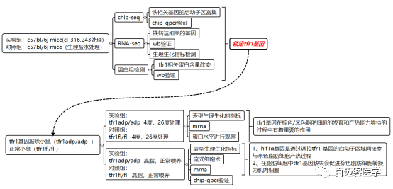 新澳门新资料大全免费,专业数据解释设想_ZXY57.820稳定版