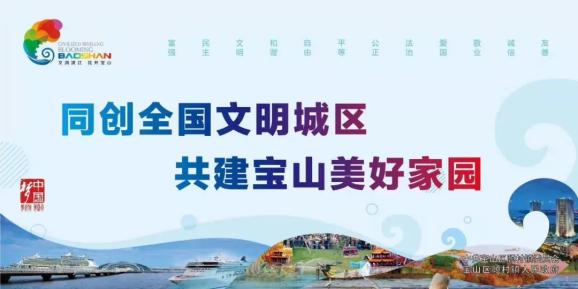 银宝山新日常故事，友情的纽带与爱的传递最新消息揭秘