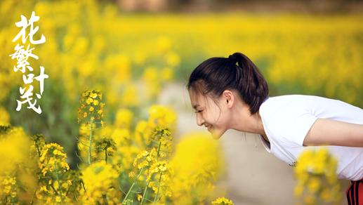 小草最新地址，生态、科普与休闲的完美交融之地