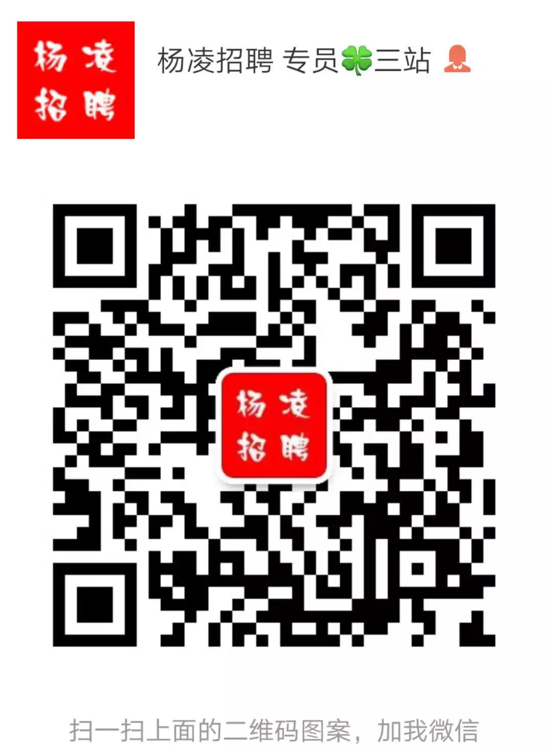 最新招聘信息 第4页