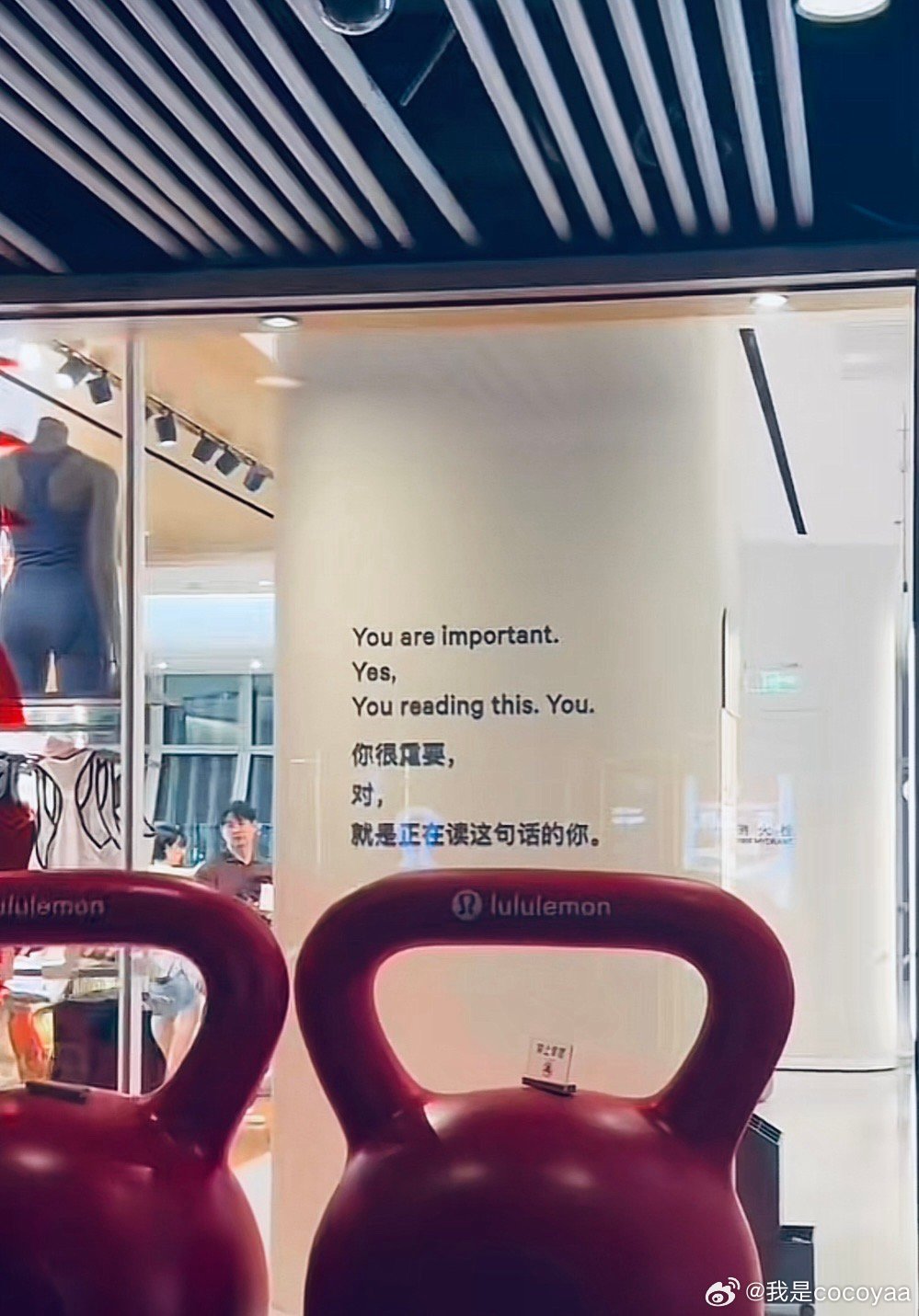 Luluhei噜噜黑最新地址，科技前沿的魅力与生活体验