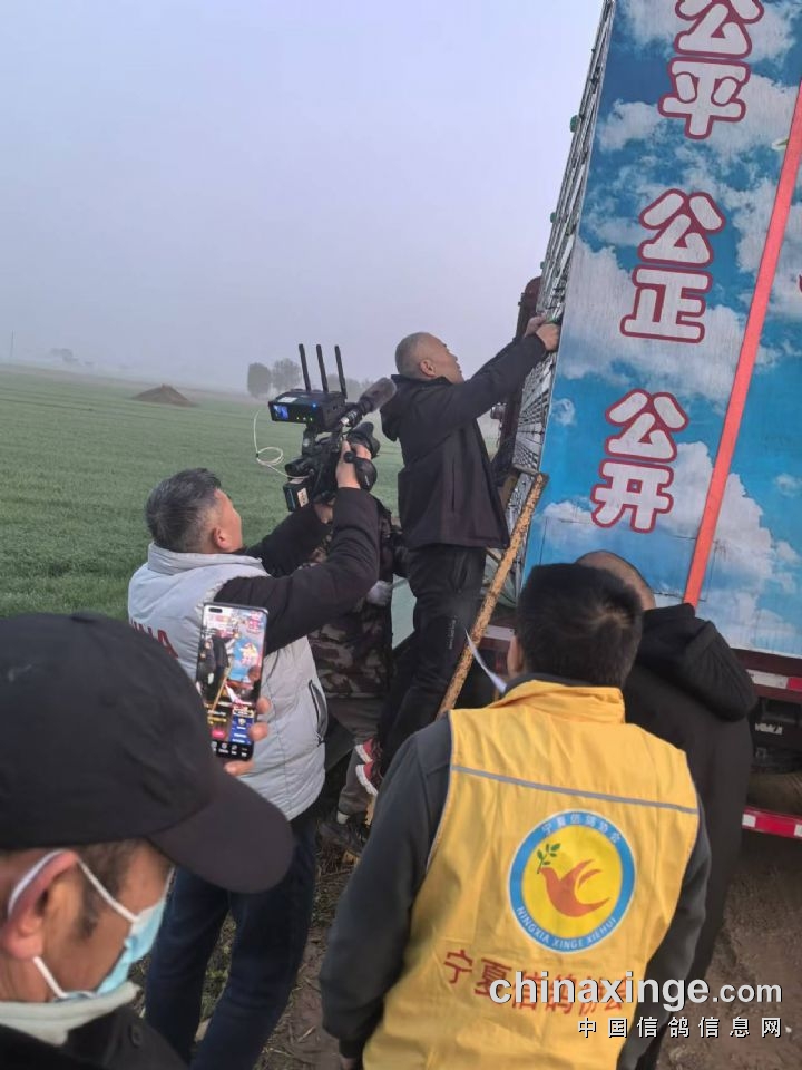 中卫赛鸽公棚最新公告发布，最新动态一网打尽