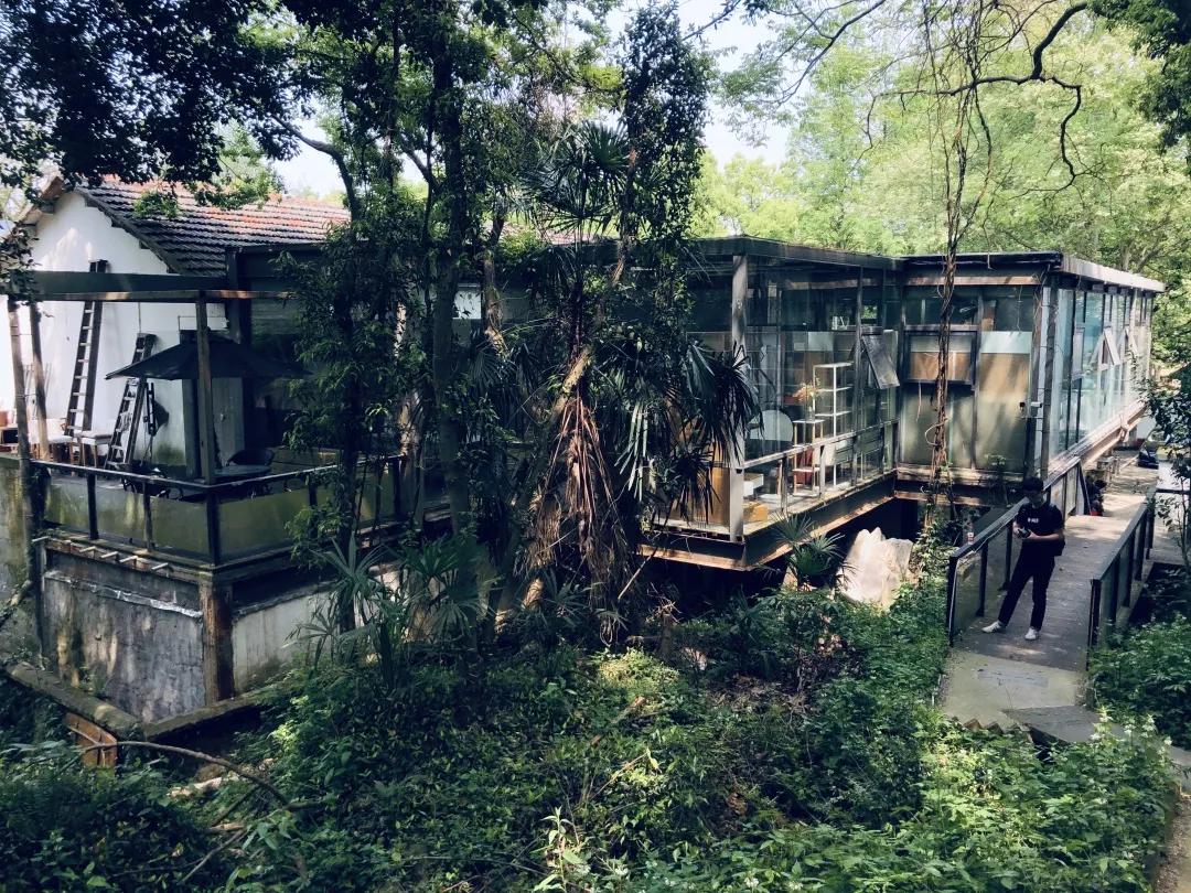QQ升级最新版本的探索之旅，小巷中的独特风味小店揭秘