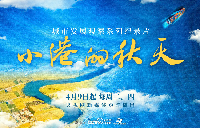 台风下的励志故事，与变化共舞，台风成就自信与成就的最新消息