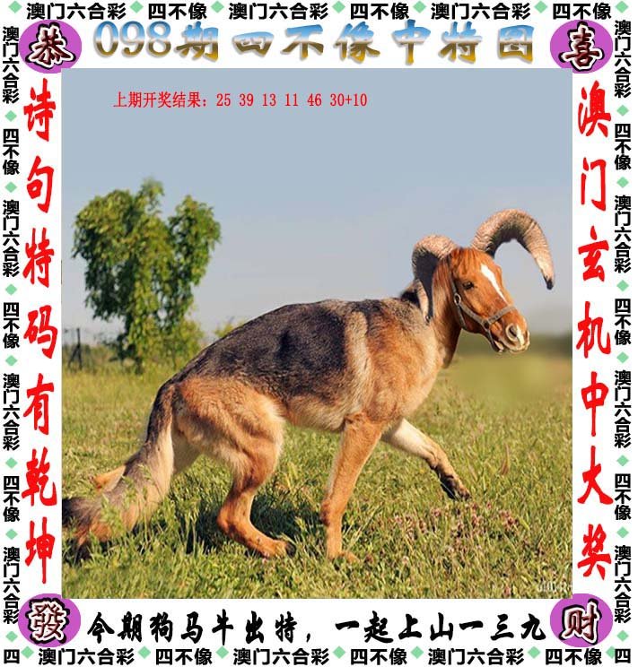 2024澳门精准四不像正版,新式数据解释设想_闪电版