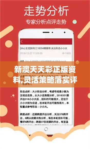 新澳天天开奖免费资料查询,定量解析解释法_L版