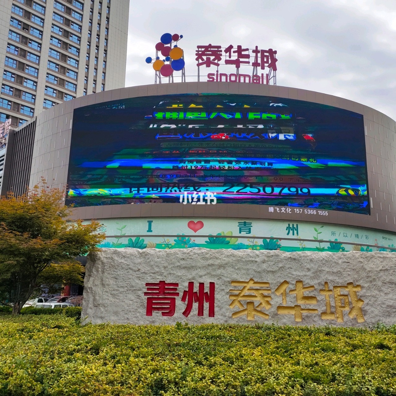 青州泰华最新招聘信息及高科技产品介绍概览