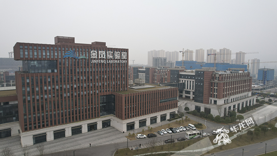 农垦医院改革最新动态，科技重塑医疗，开启前所未有的医疗新时代体验