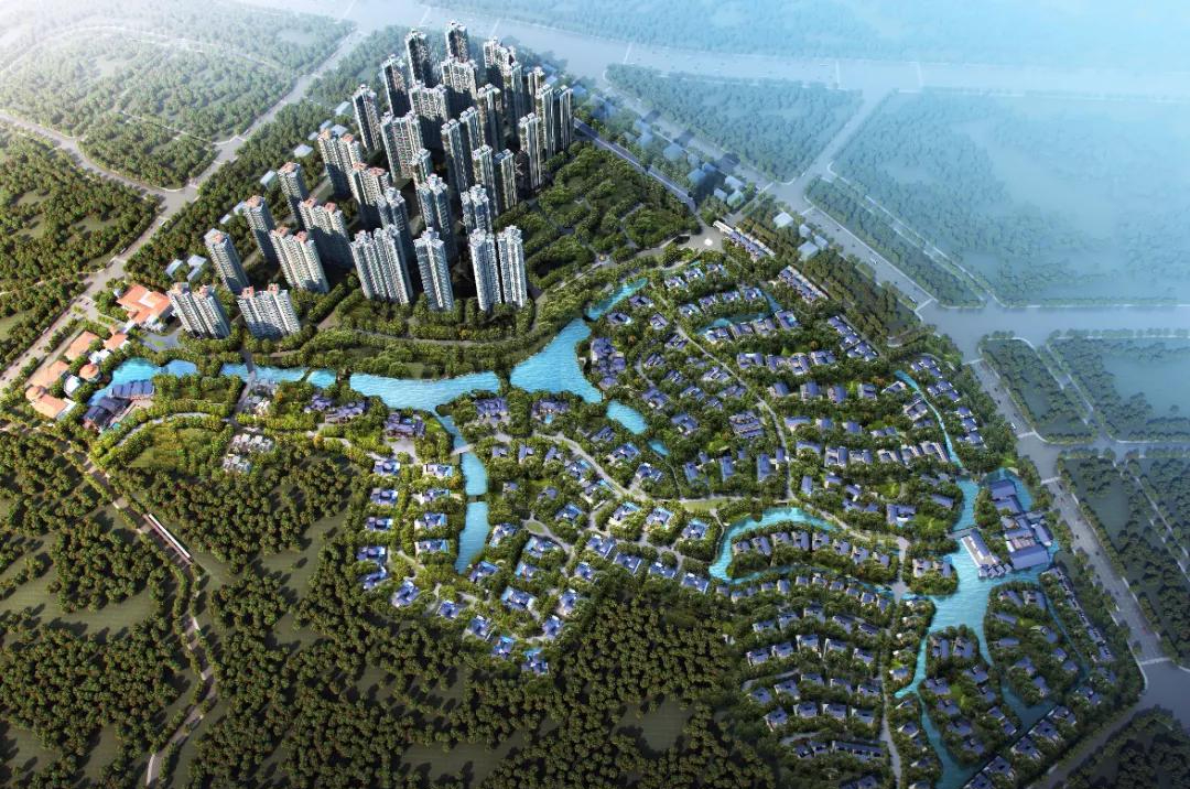 中山华发四季最新动态，变化中的力量，成就自信与成长之路