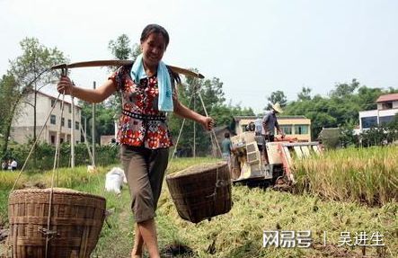 乡村寡妇村，变化、学习与自信的力量最新章节