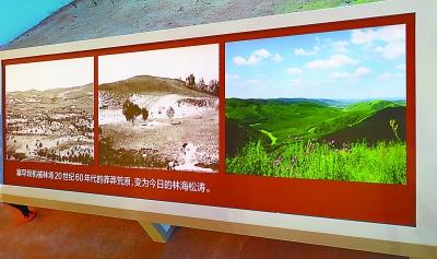 凤阳新闻速递，城市发展与变迁的最新动态