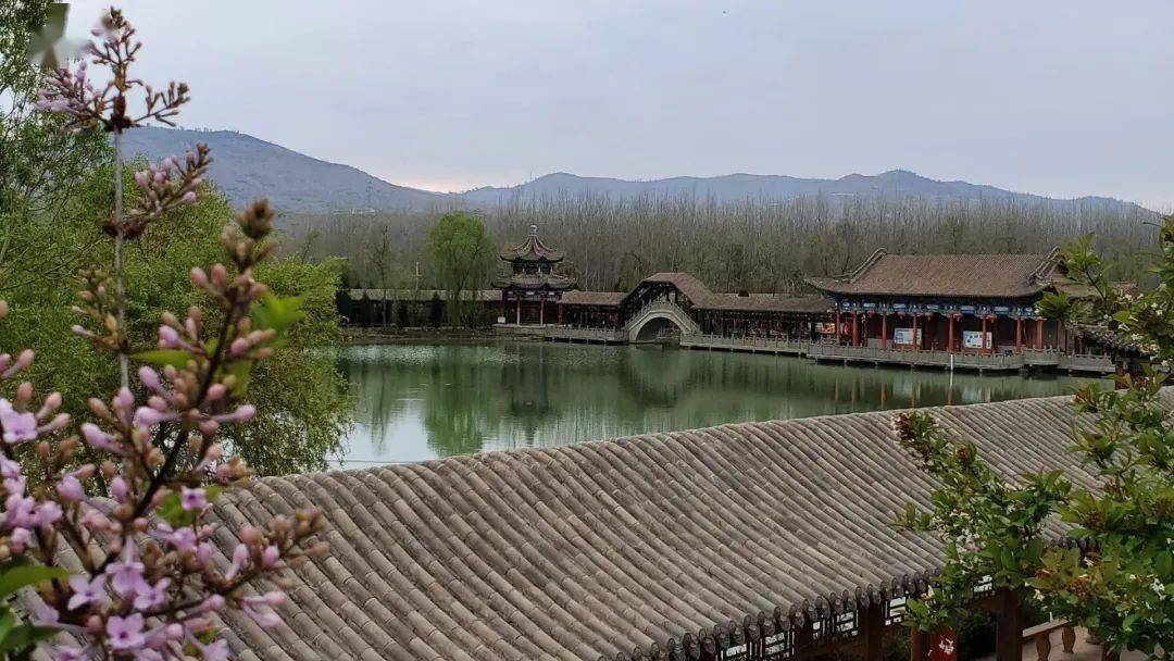 东营水城庄园最新动态，自然美景探索之旅，寻找内心平和与宁静