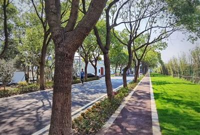 科技重塑居住体验，最新公寓政策解读