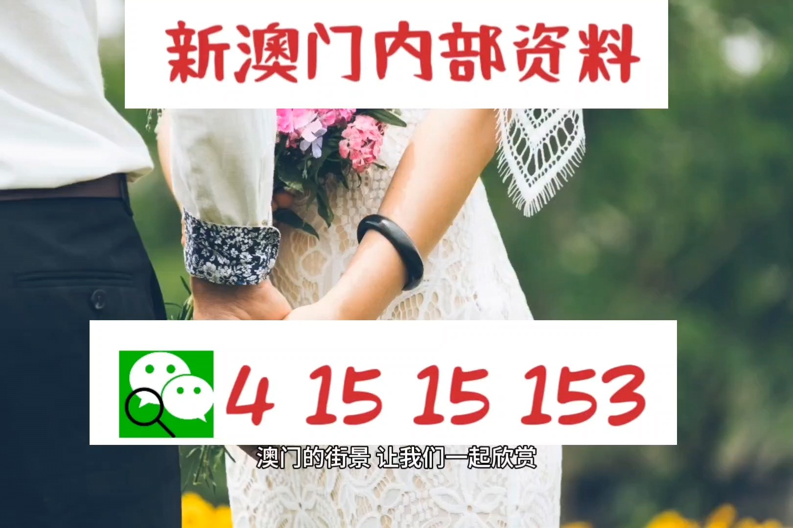 新澳三中三免费资料,灵活性执行方案_YYL41.141随机版