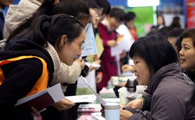 合肥私立学校最新招聘，小巷中的教育明珠