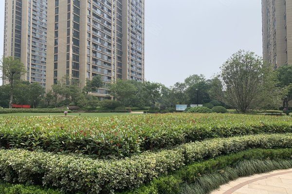 浏阳鸿宇城，与自然美景的邂逅与内心平和之旅的最新动态