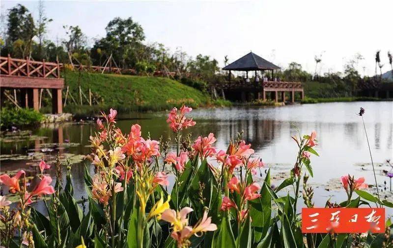 靖江并入江阴，开启自然美景探索之旅，探寻内心平静的最新消息