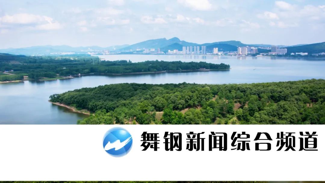 舞钢南凯最新消息,舞钢南凯最新消息