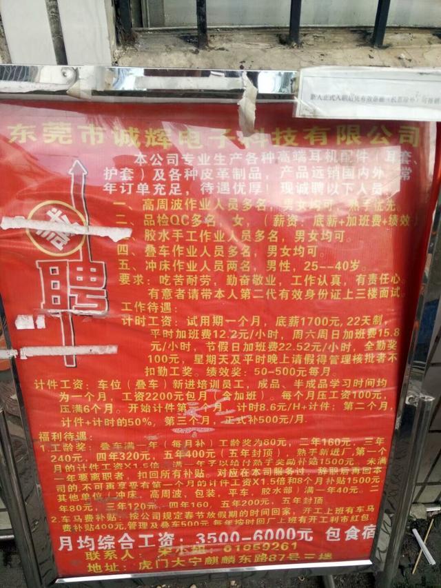东升镇最新临时工招聘，详细解读与观点论述