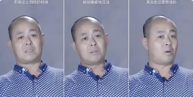 三肖必中三期必出凤凰网2023,科技成语解析说明_4DM113.594-3
