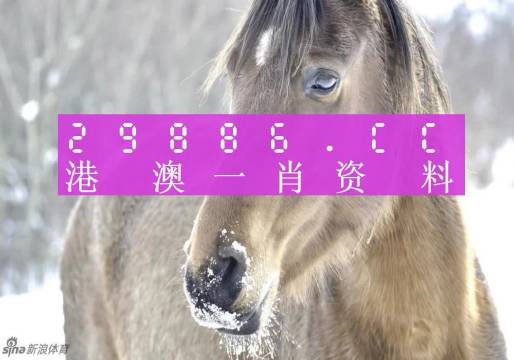 最准一肖一码100%精准软件,重要性解析方法_冒险款6.613-1