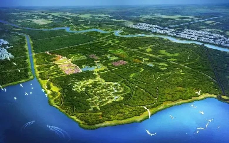 雄安新区最新发展,雄安新区最新发展，一场探索自然美景的旅行，寻找内心的平和