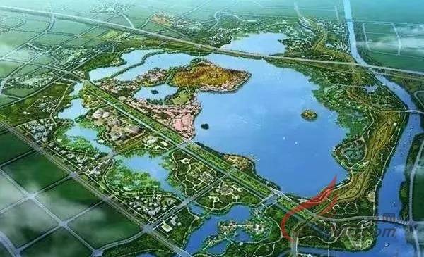 丹阳练湖开湖最新进展及动态更新