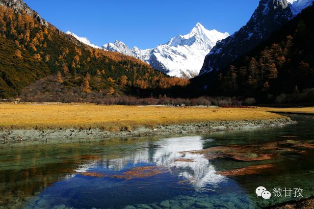 案防案例最新？自然美景的心灵之旅带你远离压力！