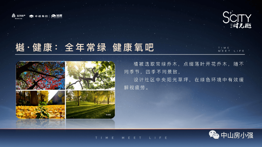 澳门管家婆100中,时代解析说明_MT4.912