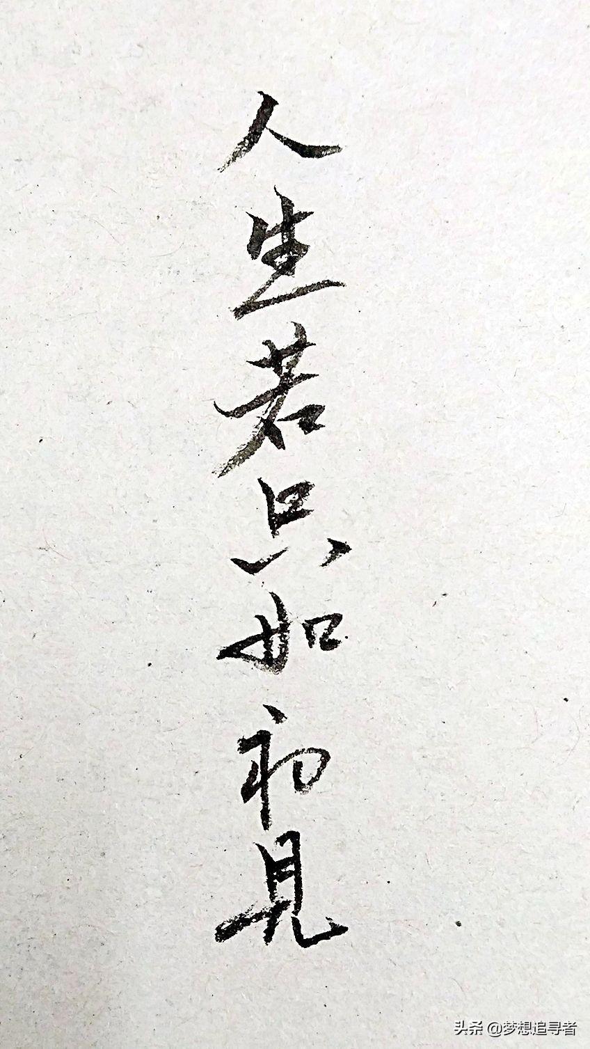 最新经营许可,最新经营许可，一场心灵与自然的奇妙旅行