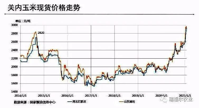 黄淮玉米最新价格概览，市场走势、影响因素与案例分析标题可能不完全符合文章内容，仅作参考。具体标题可以根据文章内容进行调整优化。