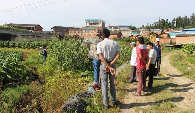 农村乱睡现象转变，从田间地头走向知识殿堂的励志之路