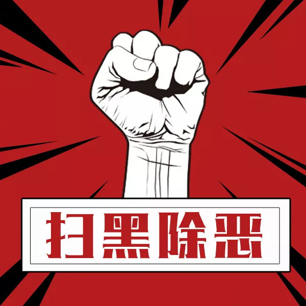龙岩扫黑最新动态，全面指南与步骤详解