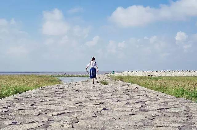 横沙岛自然美景探索之旅最新报道