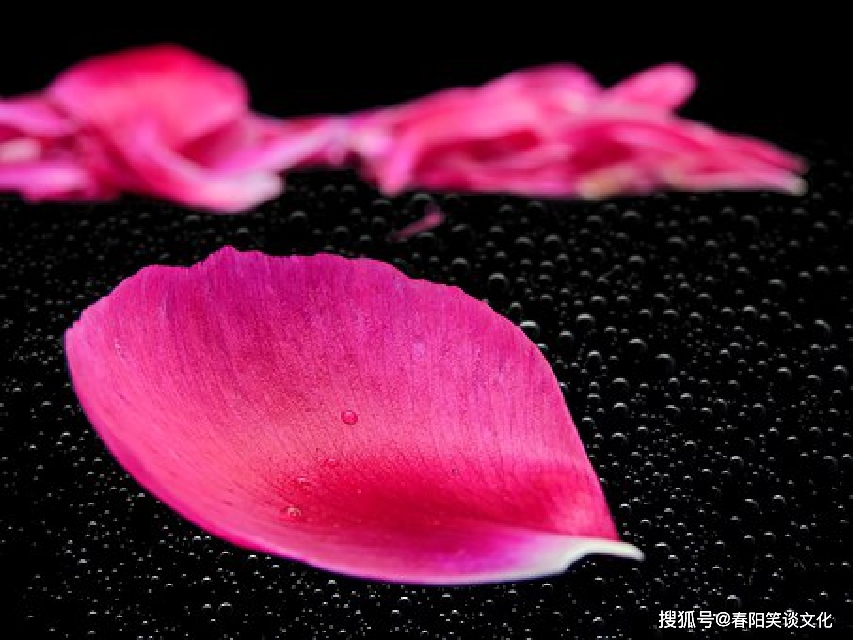 塔克深入自然美景的鼓舞人心之旅最新比赛报道