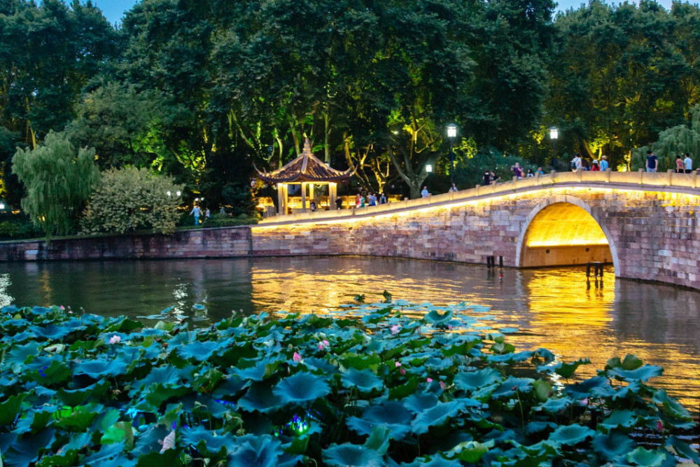 杭州罗薇最新探索之旅，自然美景的心灵之旅，寻找平和与喜悦的足迹
